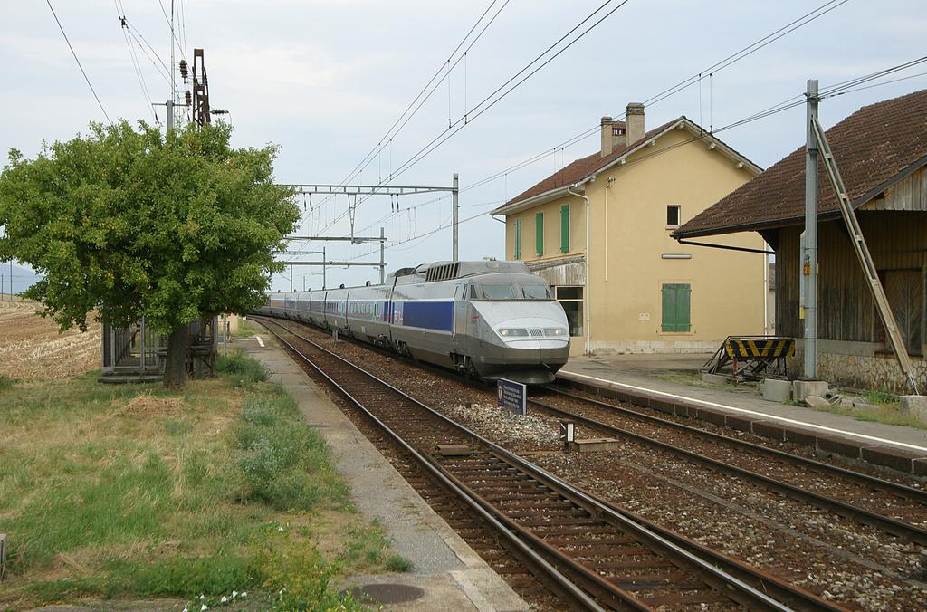 Photo d'une TGV, Prise à Arnex le 14 août 2003 04:34